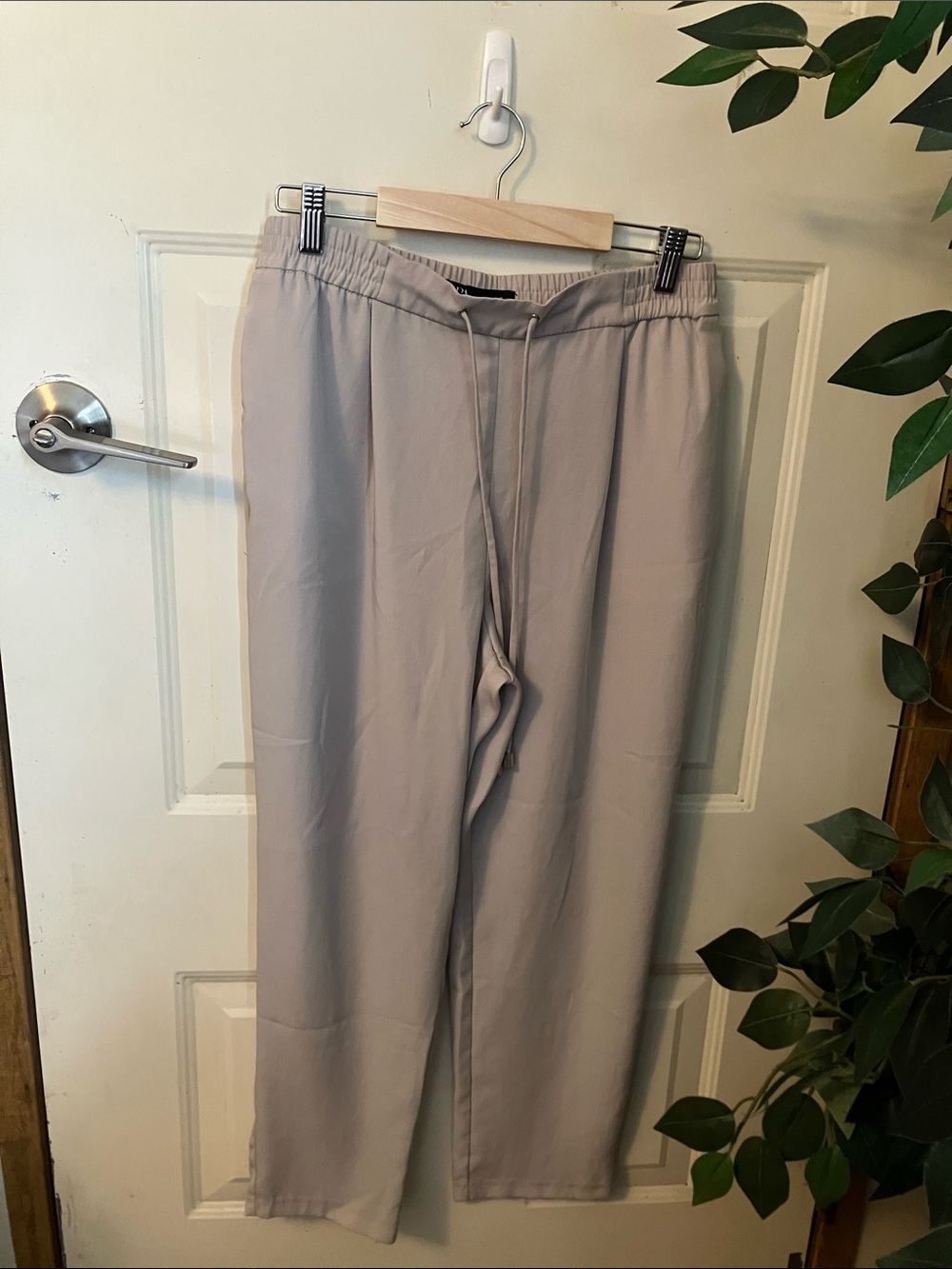 Women’s dress pants